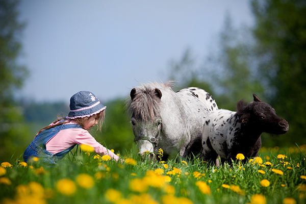 Baby Poney à Sion pour enfants dès 2 ans au Domaine des Îles avec Ô Jardin